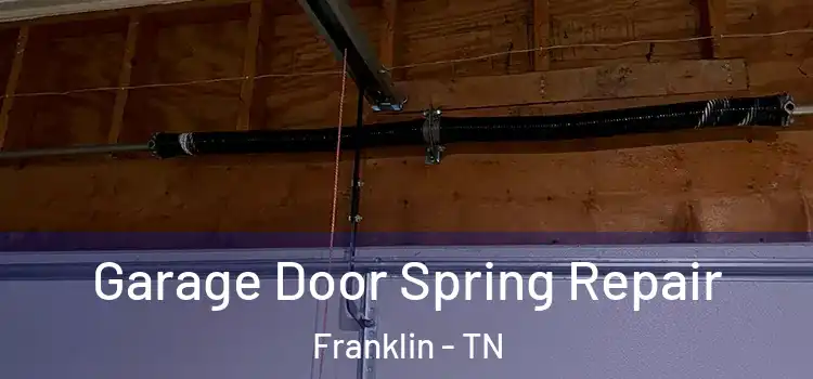  Garage Door Spring Repair Franklin - TN