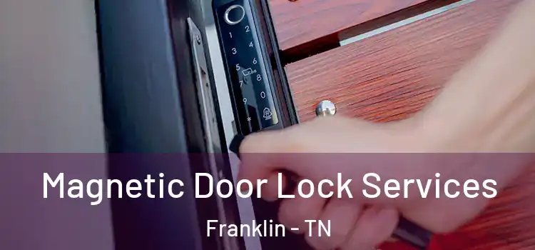 Magnetic Door Lock Services Franklin - TN